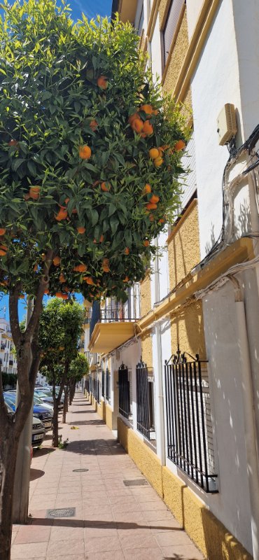 ronda